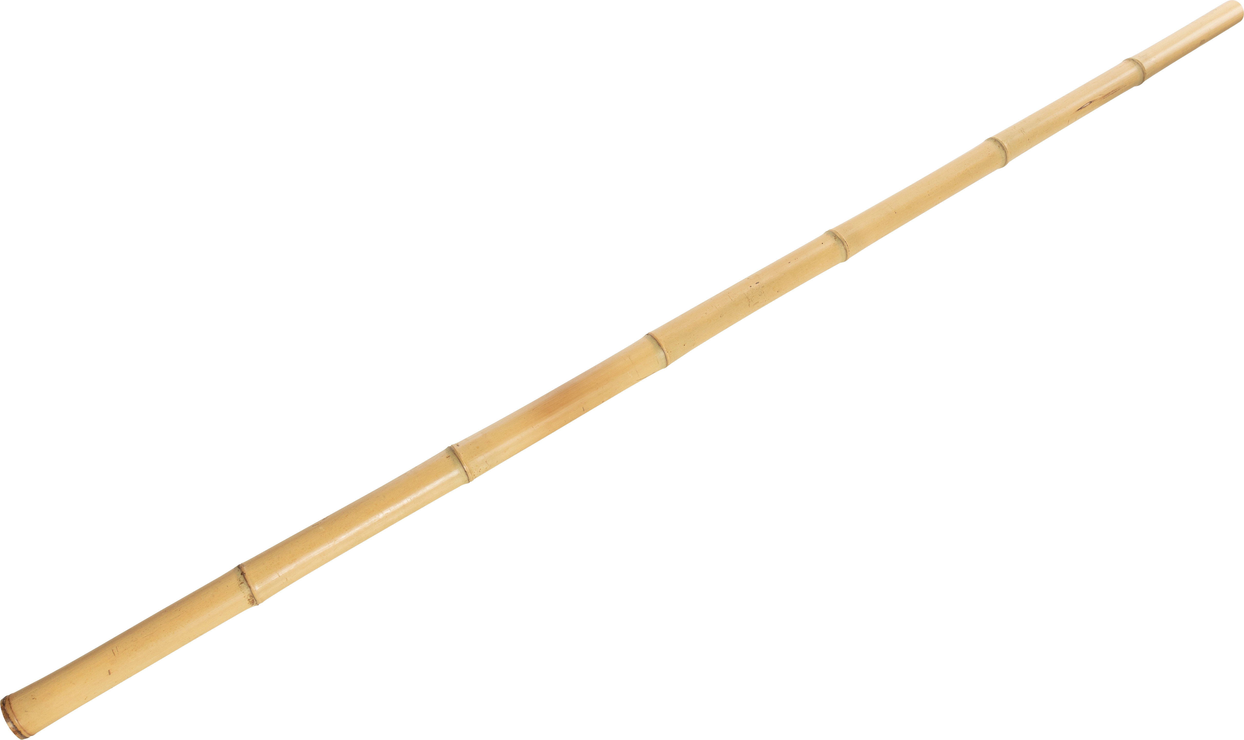 Bambusstäbe kaufen bei OBI